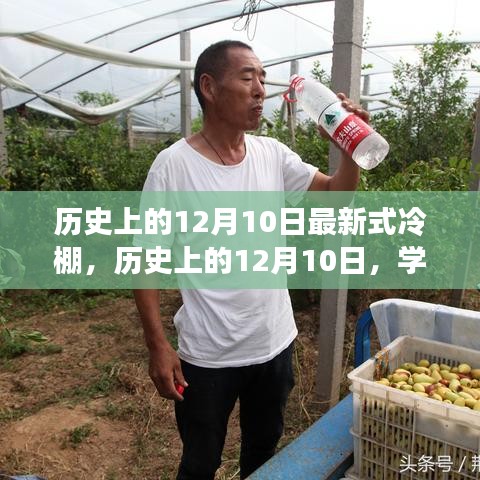 历史上的12月10日，最新式冷棚搭建详细指南