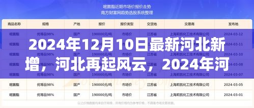 河北再起风云，揭秘2024年河北新增事件纪实