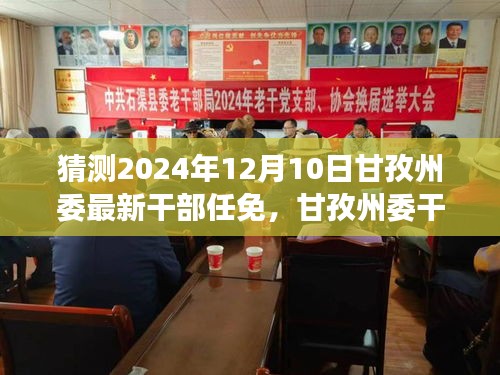 2024年甘孜州委干部任免猜想，展望与影响