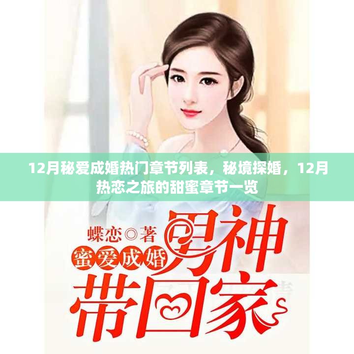 12月热恋之旅，秘境探婚与甜蜜章节一览