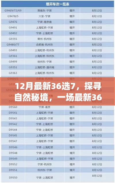 探寻自然秘境，最新36选7的心灵之旅