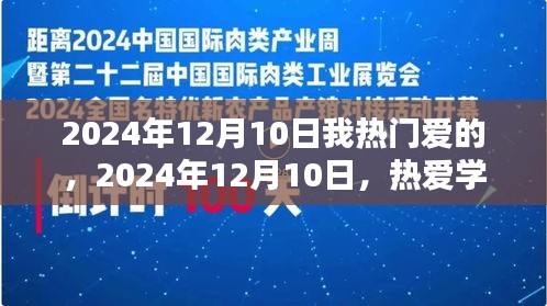 热爱学习，自信闪耀，我在2024年12月10日的独特激情