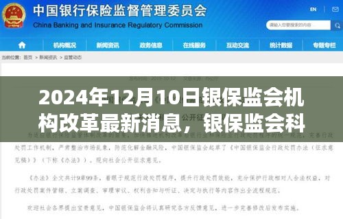 揭秘银保监会机构改革新动态，科技革新引领未来，最新消息速递（2024年12月）