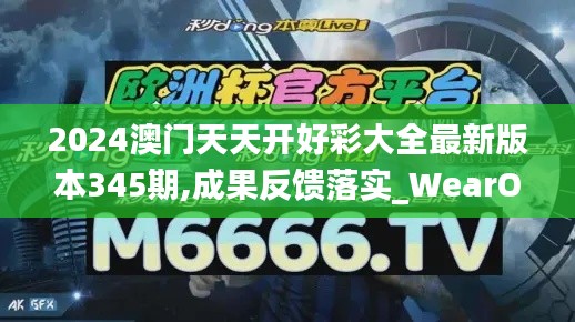 2024澳门天天开好彩大全最新版本345期,成果反馈落实_WearOS9.823