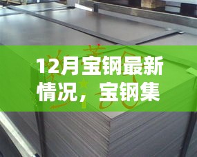 宝钢集团最新动态深度解析，产品特性、用户体验与目标用户分析报告