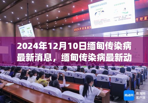 2024年12月10日缅甸传染病深度观察，最新消息与动态