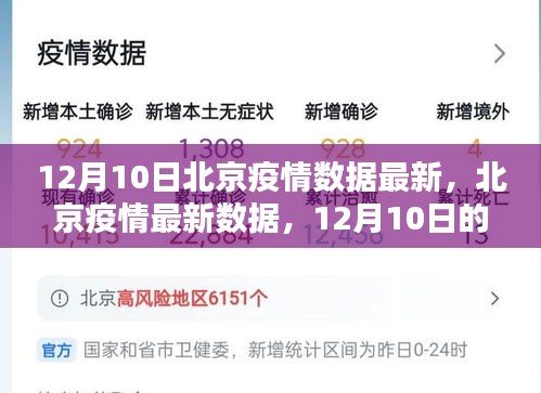 北京疫情最新数据回顾，12月10日的影响与疫情动态