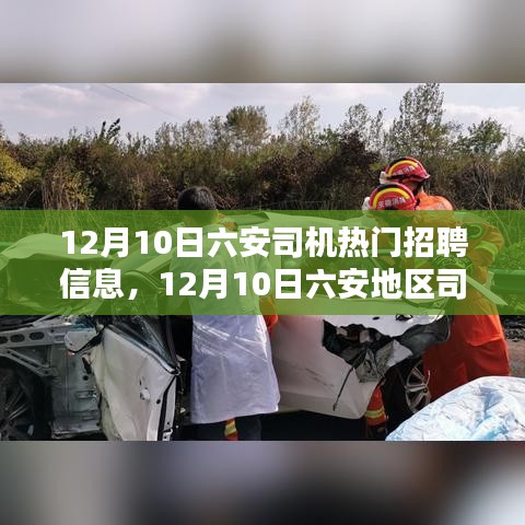 12月10日六安地区司机热门招聘信息一览