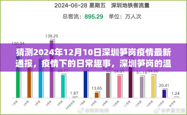 深圳笋岗疫情下的温馨时光与日常趣事，最新通报猜测（2024年12月10日）