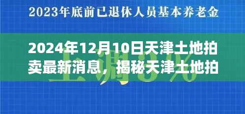 天津土地拍卖最新动态与小巷特色小店探秘，2024年12月10日揭秘幕后故事