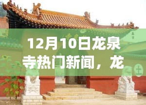 龙泉寺热议，励志故事冬日的绽放，探寻自信与成就之源