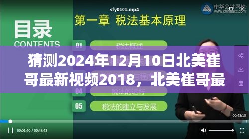 北美崔哥最新视频作品猜测与分析，深度体验与用户体验体验展望（2024年12月10日）