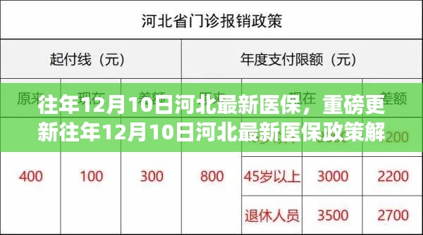 重磅解读，往年12月10日河北医保政策更新全解析，深入了解医保变革！