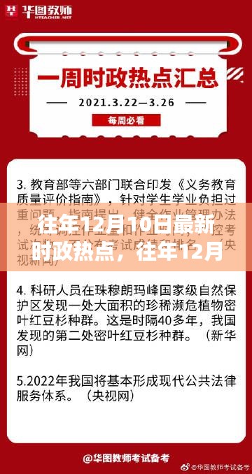 往年12月10日时政热点及深度解读，某某观点探析