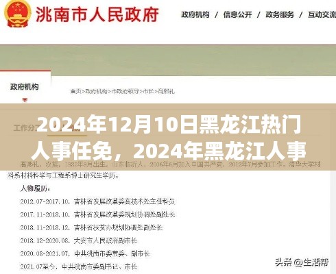 黑龙江人事任免动态深度解读与全面分析（2024年12月版）