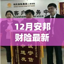 12月安邦财险最新动态与观点解析