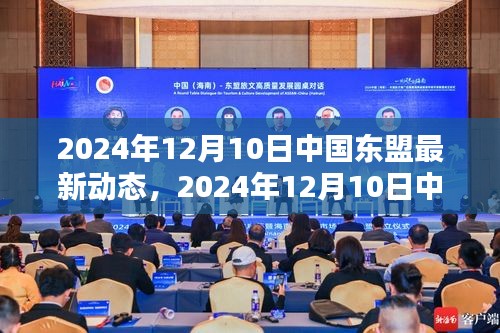 中国东盟最新动态，深化合作还是面临挑战？2024年12月10日解读