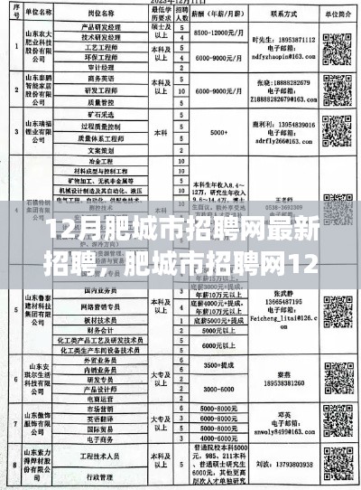 肥城市招聘网最新职位应聘全攻略，入门到成功成功之路在12月开启