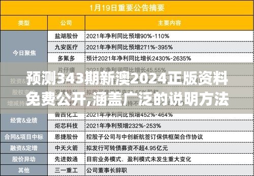 2024年12月11日 第11页