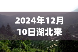 揭秘湖北来凤大河隐藏小巷的独特小店，热门图片背后的故事（2024年12月10日）