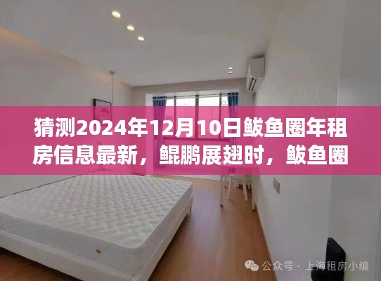 鲅鱼圈租房市场新篇章，2024年最新年租房信息预测，学习变化成就梦想之港