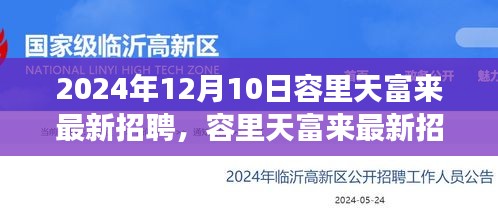 容里天富来最新招聘动态，职场机遇与挑战的探讨（2024年）