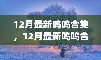 12月最新呜呜合集，与自然美景的邂逅，内心平和之旅