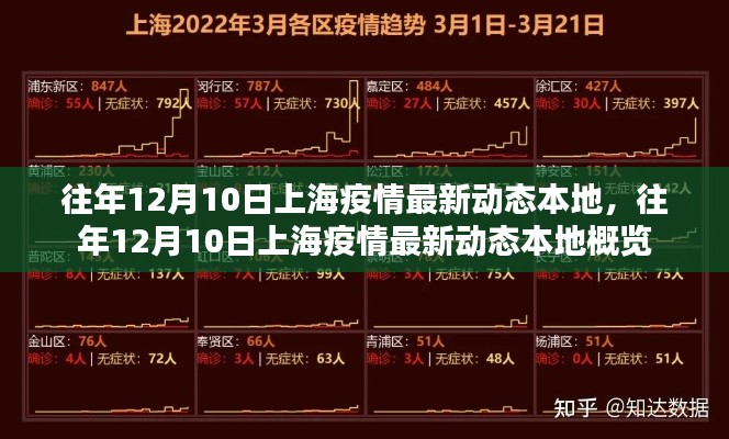 往年12月10日上海疫情最新动态概览，本地疫情动态概览及更新信息