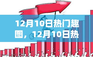 12月10日热门趣图大盘点，当日视觉盛宴一网打尽