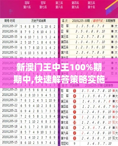 新澳门王中王100%期期中,快速解答策略实施_动态版4.724