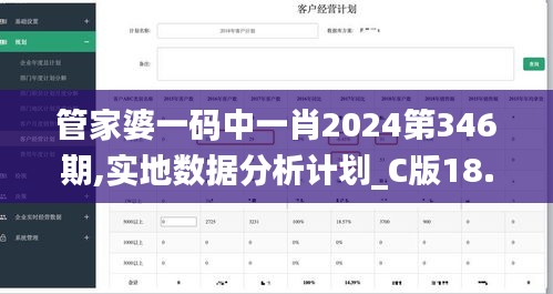 管家婆一码中一肖2024第346期,实地数据分析计划_C版18.395