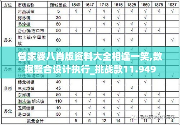 管家婆八肖版资料大全相逢一笑,数据整合设计执行_挑战款11.949