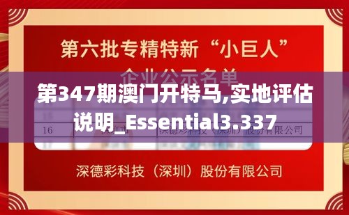 第347期澳门开特马,实地评估说明_Essential3.337