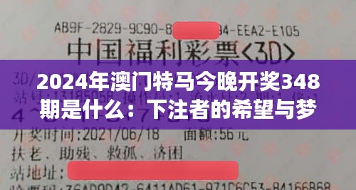 2024年澳门特马今晚开奖348期是什么：下注者的希望与梦想