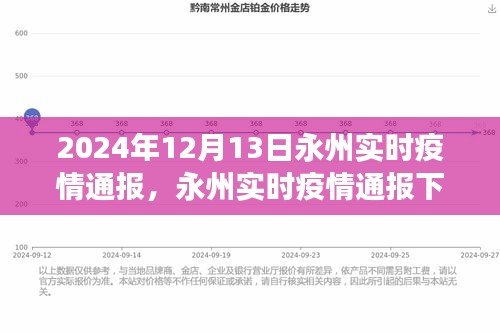 2024年12月13日永州实时疫情通报多维度视角分析