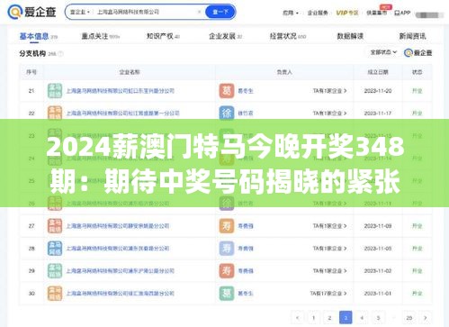 2024薪澳门特马今晚开奖348期：期待中奖号码揭晓的紧张时刻