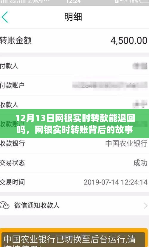 网银实时转账背后的故事，学习与变化中的自信与成就感，能否成功退款揭秘