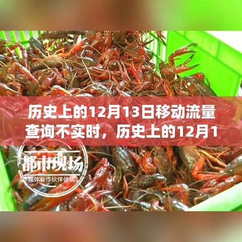 历史上的12月13日，移动流量查询失误背后的故事及影响