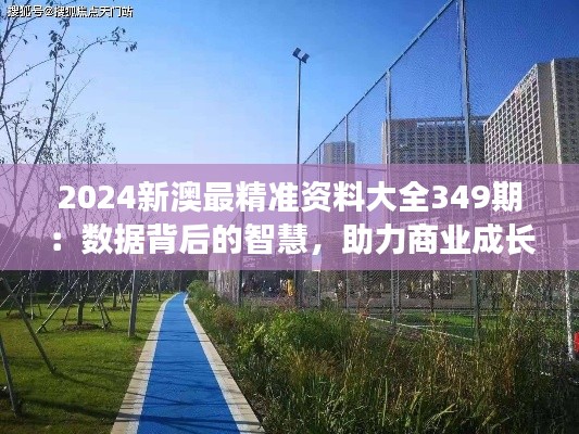 2024新澳最精准资料大全349期：数据背后的智慧，助力商业成长