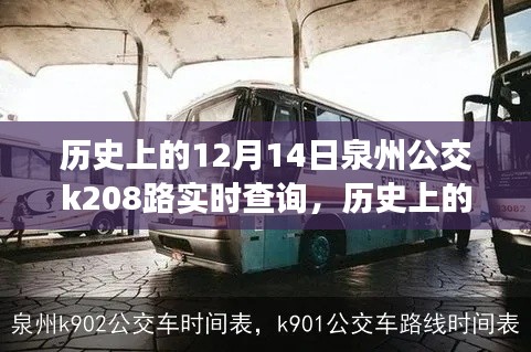 历史上的12月14日泉州公交K208路，变迁与励志之旅，成就梦想之路实时查询