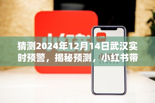 小红书揭秘预测，探寻武汉未来预警，探索武汉实时预警（2024年12月14日）