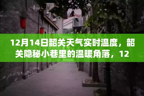 韶关隐秘小巷的温暖角落，实时天气与意外惊喜的相遇