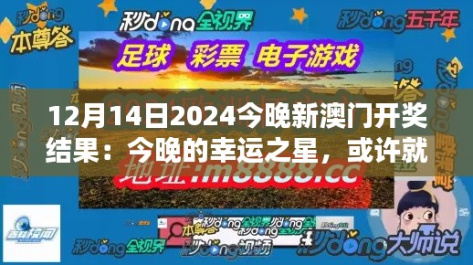 12月14日2024今晚新澳门开奖结果：今晚的幸运之星，或许就是你！