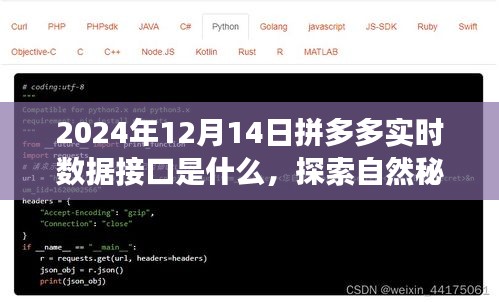 揭秘拼多多实时数据接口背后的故事，探索自然秘境，开启心灵之旅（2024年12月14日实时更新）