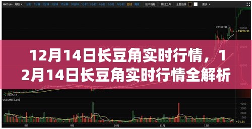 12月14日长豆角实时行情解析与商机洞察指南