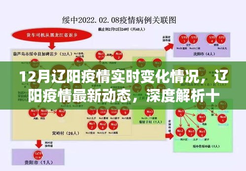 辽阳疫情实时动态，深度解析十二月最新变化与进展