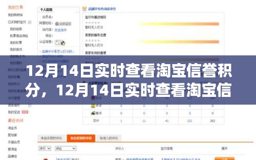 淘宝信誉积分实时查看解析与案例分享，全面洞悉信誉积分背后的秘密！