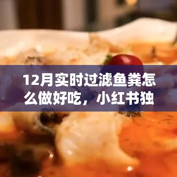 独家揭秘，12月过滤鱼粪美味烹饪秘籍，小红书教你做美食