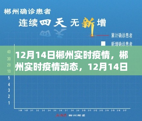 12月14日郴州实时疫情深度观察与动态