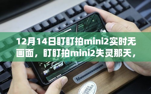 爱的纽带，盯盯拍mini2失灵之际，虚拟与现实的交汇点